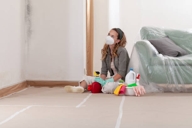 Reliable Mold Remediation contractor in Gig Harbor, WA by WQB Mold Removal
